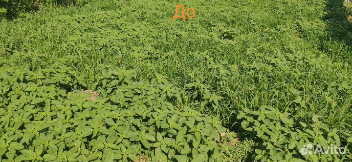 Покос травы