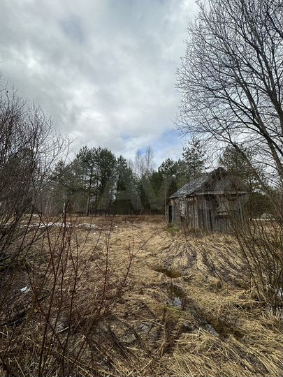 Участок 15 сот. (СНТ, ДНП)