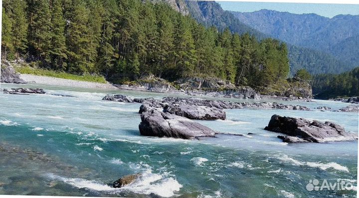 Турпутевка летом на Алтай программы 4-7 дн