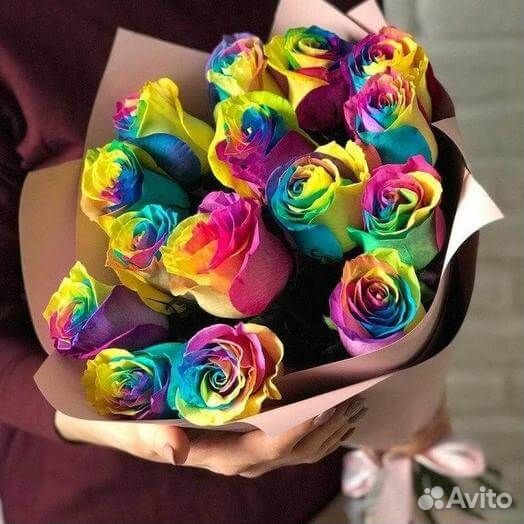 Букет радужных роз, Эквадор, 60см 65 шт