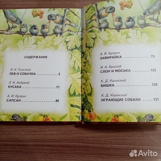 Большая собачья книга