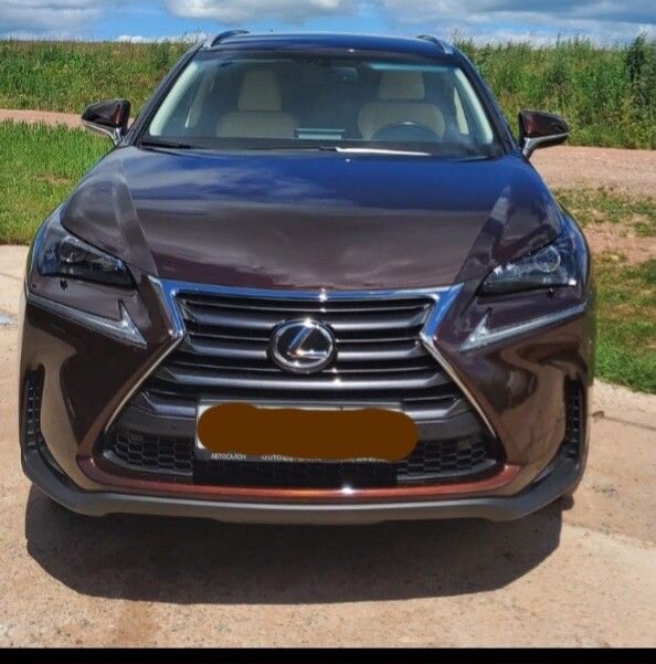 Lexus NX: фото из отзыва