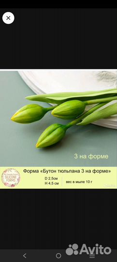 Тюльпаны для мыла форма