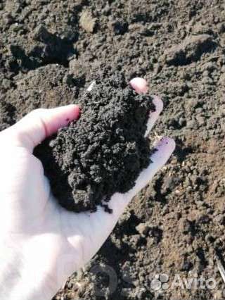 Чернозем, земля для огорода 5 тонн с доставкой
