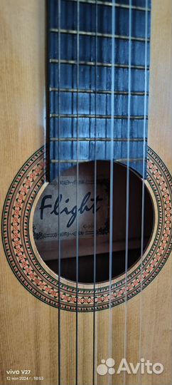 Гитара Flight c-100