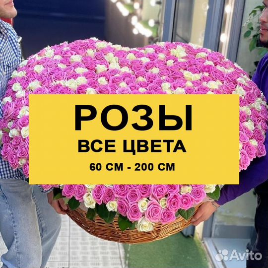 Высокие розы, доставка цветов