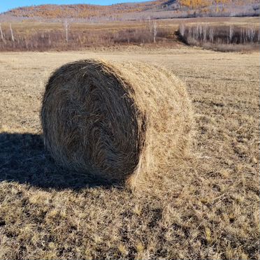 Продам сено в тюках
