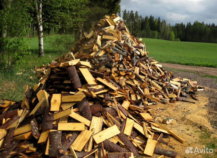 Дрова с Зеленогорска