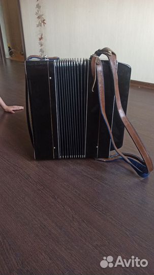 Баян тульский