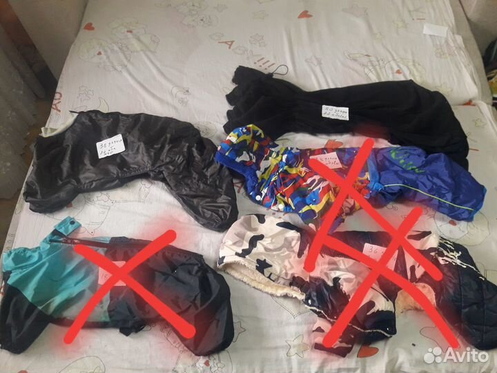 Одежда для маленьких собак