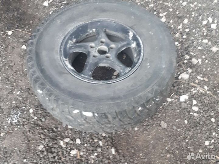 Продам колемо