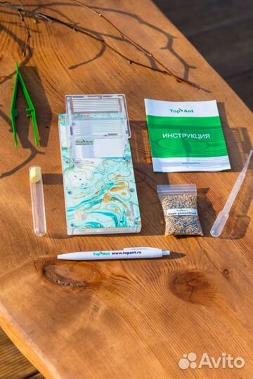 Формикарий / Муравьиная ферма