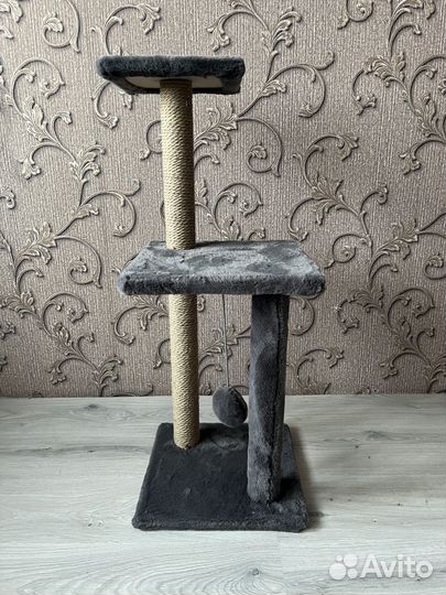 Когтеточка