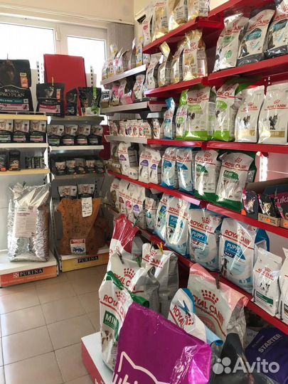 Продаю готовый бизнес зоомагазин