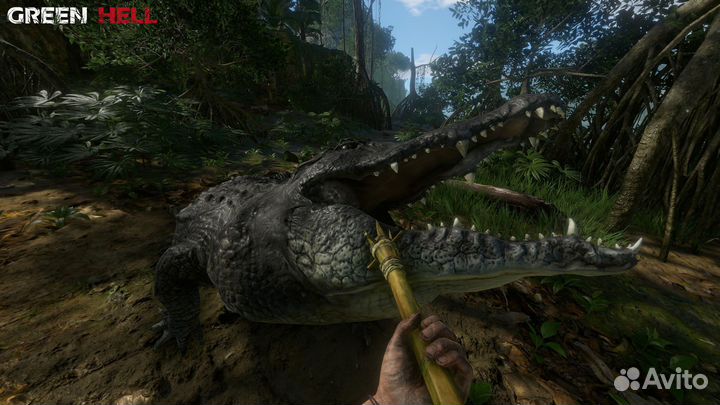 Green Hell (PS4/PS5)