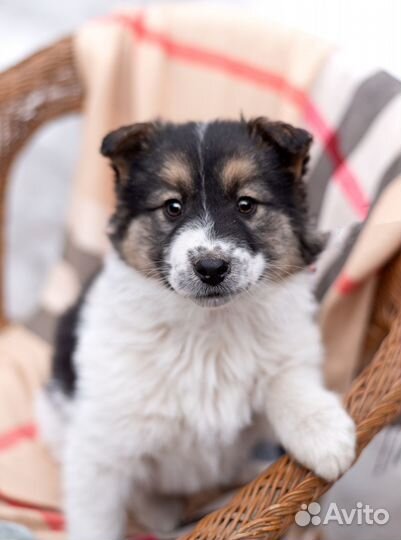 Девочка ждёт дом