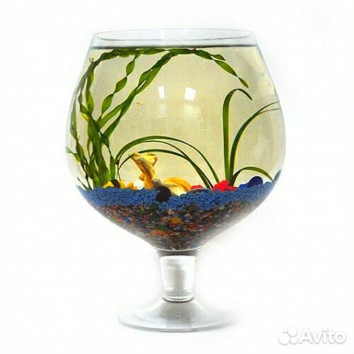 Аквариум-подарок 2,3,7 литров