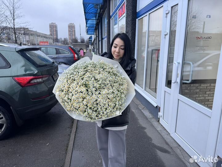 Полевой букет из ромашек 25,51,75,101 шт доставка