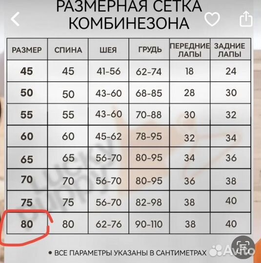 Комбенизон для крупных пород утепленный зимний