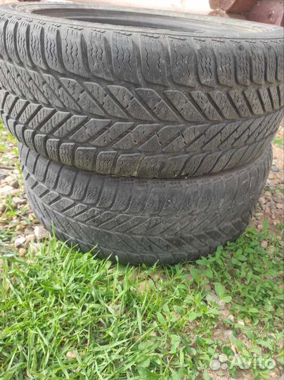 Debica Frigo HP 2 205/55 R16 91