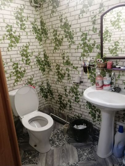 Дом 56 м² на участке 29 сот.