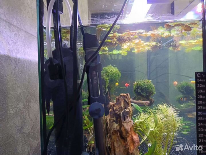 Аквариум