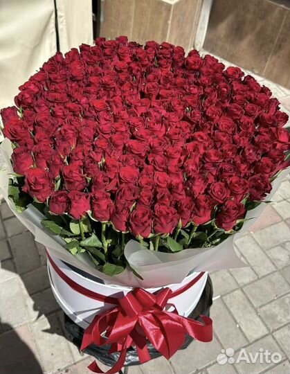 Цветы букеты 101 роза