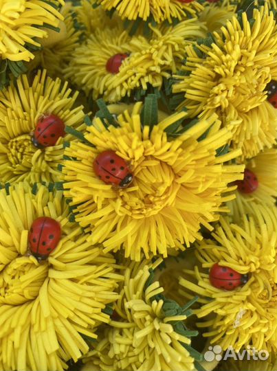 Одуванчики резиночки