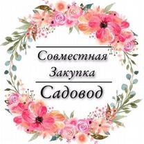 Закупки с Садовода