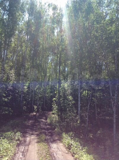 Участок 15 сот. (СНТ, ДНП)