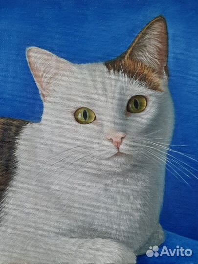 Портрет домашнего питомца маслом на холсте по фото