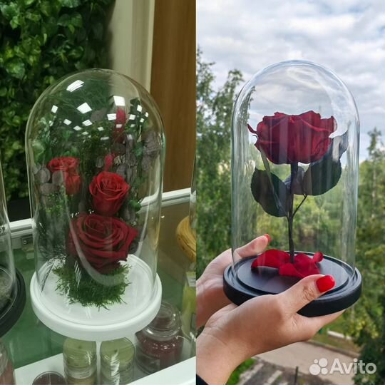 Роза в колбе. Цветы букеты. Подарки. Арт269, от