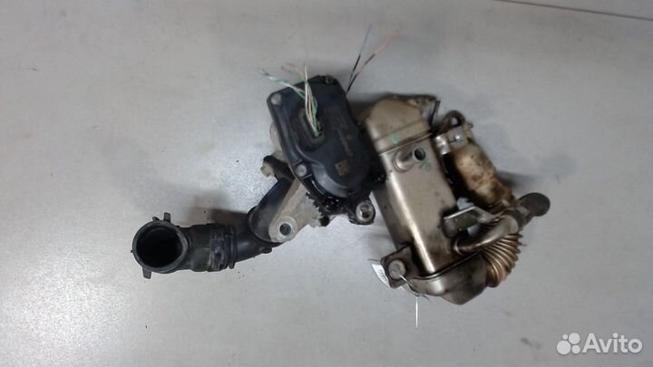 Охладитель отработанных газов Opel Vivaro, 2015