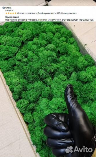 Стабилизированный мох ягель на стену