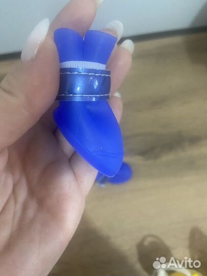 Обувь для собак мелких пород