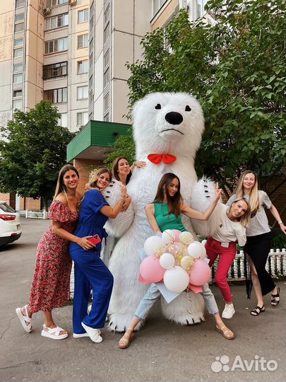 Поздравление от белого мишки