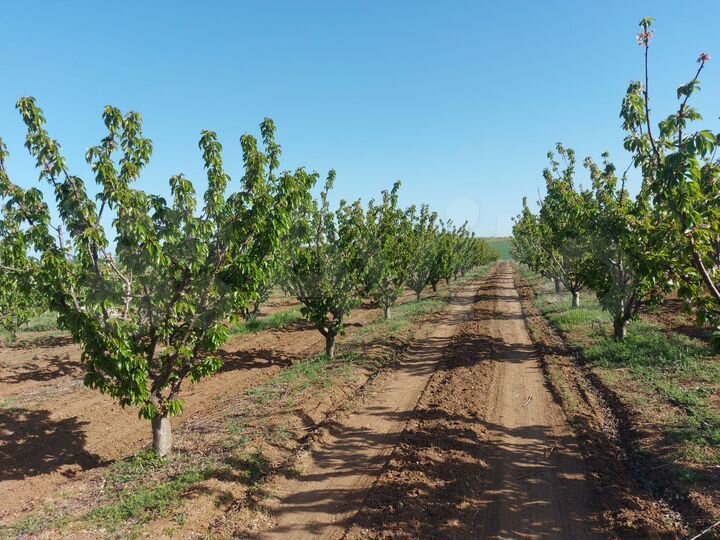 Участок 4 га (СНТ, ДНП)