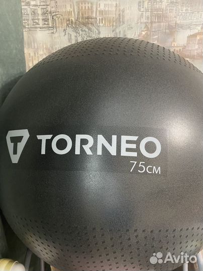 Гимнастический мяч Torneo