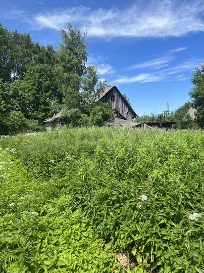 Дом 42,9 м² на участке 26 сот.