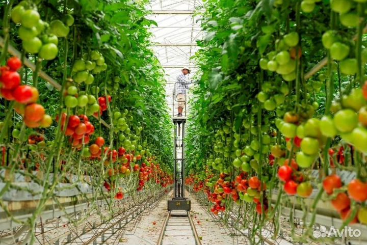 Фасовщик/разнорабочий вахта Бобров