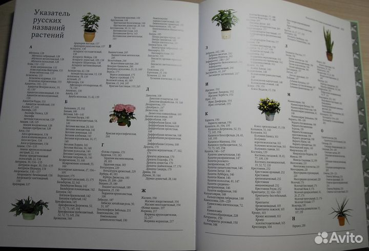 Комнатные растения. Энциклопедия