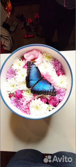 Букет с тропической бабочкой на 8 марта