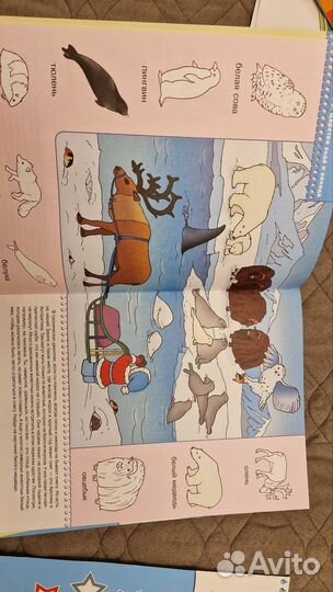 Развивающие пособия для детей Школа семи гномов 2+