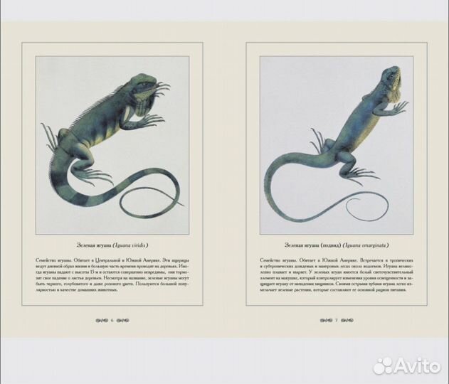 Книга рептилии