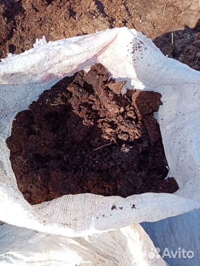 Навоз коровий самовывоз