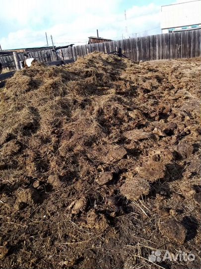 Загружу навоз крс перегной цена договорная