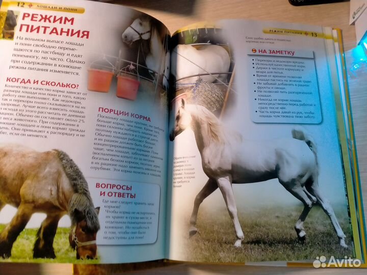 Книги энциклопедия про лошадей