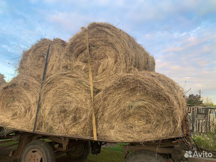 Сено в рулонах