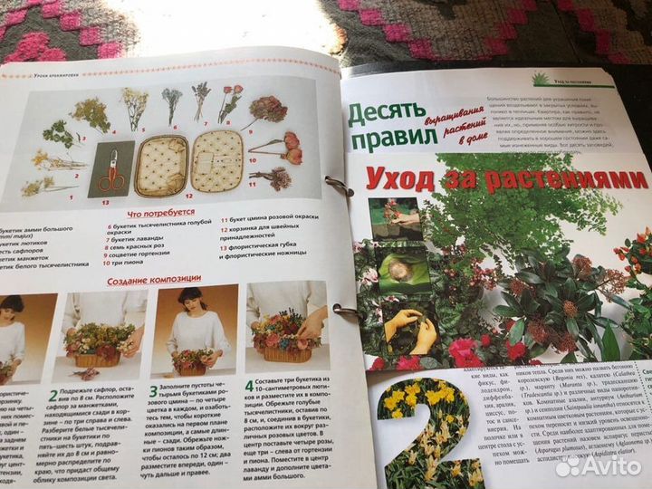 Комнатные растения. Сборник текстов и иллюстраций