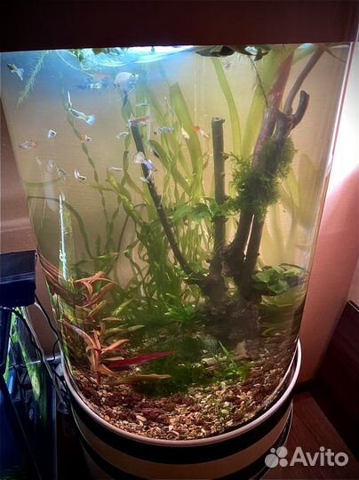 Аквариум с тумбой
